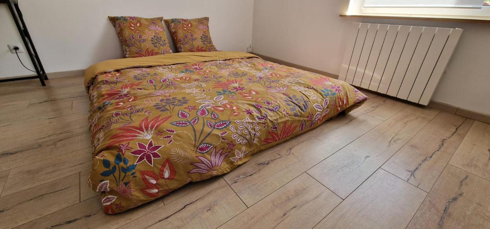 Bel Renove Avec De Beaux Volumes Apartment Flavigny-sur-Moselle